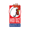 HOROZ ELECTRIC